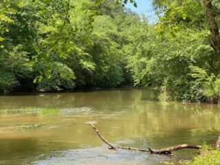 blackwater-creek-blueway